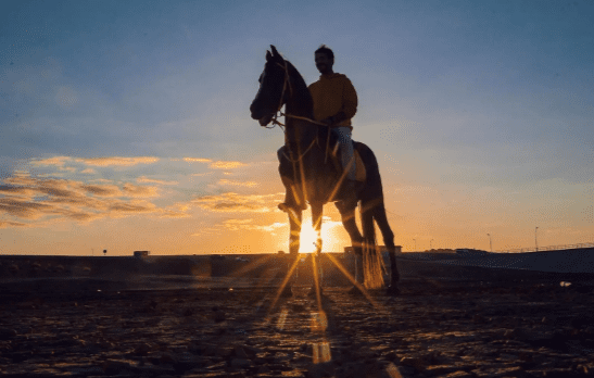 الخيل أكثر من رياضة وأعمق من هواية